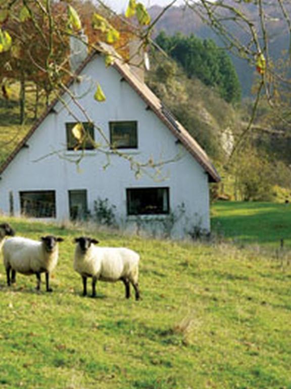 Chambre D'Hotes Les Champarts Tourville-la-Chapelle Eksteriør bilde